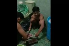 Fakta Atlet Binaraga...