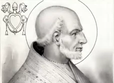 Profil Theodorus I,...