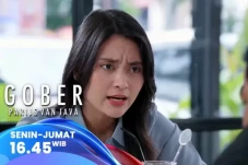 Sinopsis Layar Drama...