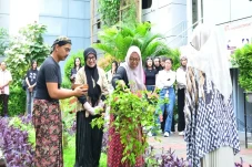 FSRD IKJ dan KEHATI...
