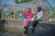 Dari Satu Ember Sampah,...