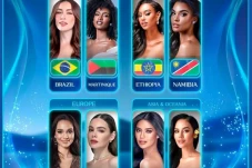Daftar 8 Besar Miss...