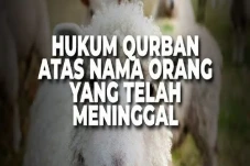 Hukum Berkurban untuk...