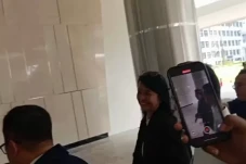 Wamen PU 20 Dicecar...