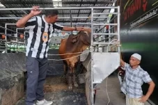 Beli Mobil Bekas Langsung...