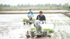 Kementan Dorong Forwatan...