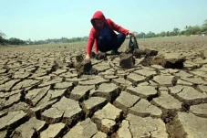 BMKG: Baru 25% Wilayah...