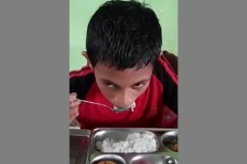Makan Bergizi Gratis...