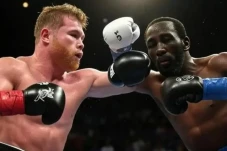 Membandingkan Canelo...