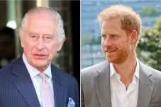 Pangeran Harry dan Raja...