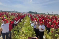 1.000 Lebih Petani Panen...