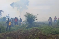 Kebakaran Hutan di Riau...
