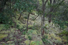 Pesona Gunung Lumut...