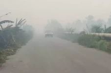 Dikepung Kabut Asap...