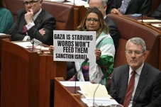 Siapa Mehreen Faruqi?...