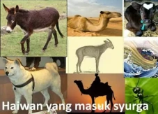 Apakah Hewan Termasuk...