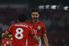 Daftar Pemain Timnas...