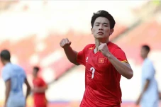 Profil Nguyen Dinh Bac,...