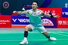 Daftar Wakil Indonesia...