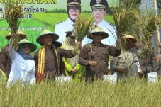 Kejati Lampung Luncurkan...