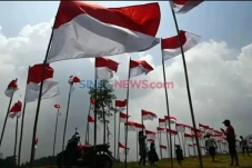 5 Inspirasi Dekorasi...