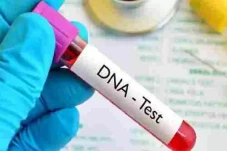 Tes DNA, Penentuan Nasab...