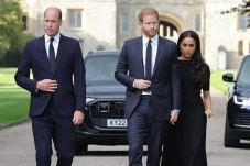 Pangeran William dan...