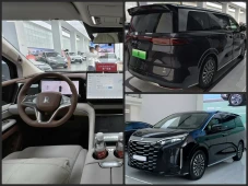 Alphard Killer? BYD...