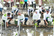 Tingkatkan Ekonomi Pesisir,...