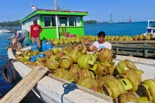 Beli LPG 3 Kg Pakai...