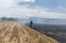 Luas Karhutla di Riau...