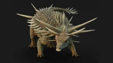 Dinosaurus Punk Rock...