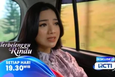 Sinopsis Layar Drama...