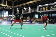 Penyebab Ganda Campuran...