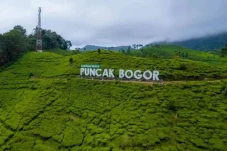 Mau ke Puncak Bogor...