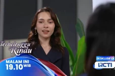 Sinopsis Layar Drama...