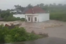 Kapolda Bali: Ratusan...