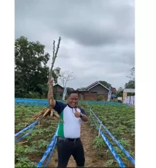 Sibuk Bertani, Narji...