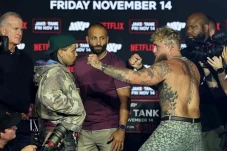Duel Gervonta Davis...
