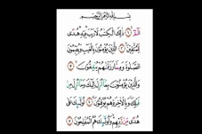 Mudah Diingat! 5 Ayat...