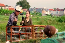 Belajar Nerbangin Merpati,...