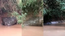 Lagi-lagi Batu Berbentuk...
