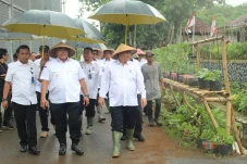 Direktur Pengamanan...