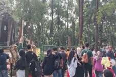 Besok Taman Margasatwa...