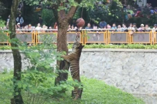 Ragunan Buka hingga...