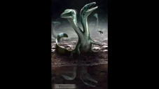 Fosil Dinosaurus Berkepala...