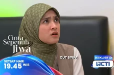 Sinopsis Layar Drama...