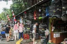 Pemprov Jakarta Bongkar...