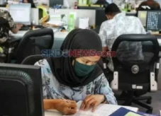 Program Magang Berbayar...