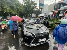 Pengendara Lexus Tewas...